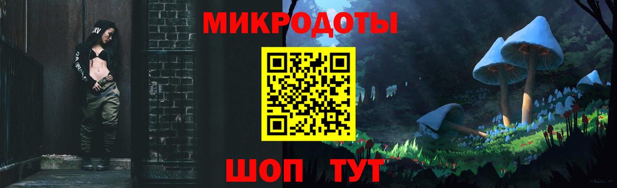 Галлюциногенные грибы ЛСД  Галлюциногенные грибы Psilocybe  Камень-на-Оби  Вход с VPN 