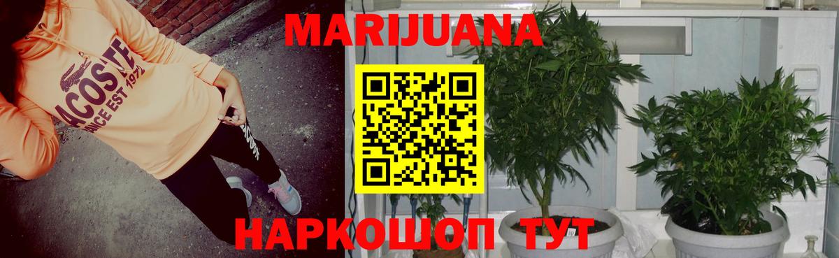 Бошки марихуана VHQ  Конопля THC 21%  МАРИХУАНА гибрид  Вход с VPN  Камень-на-Оби 